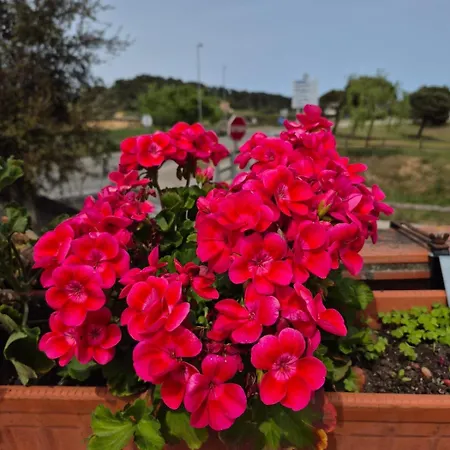 Ca La Luci